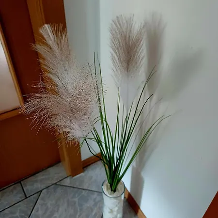 Apartman Krn *